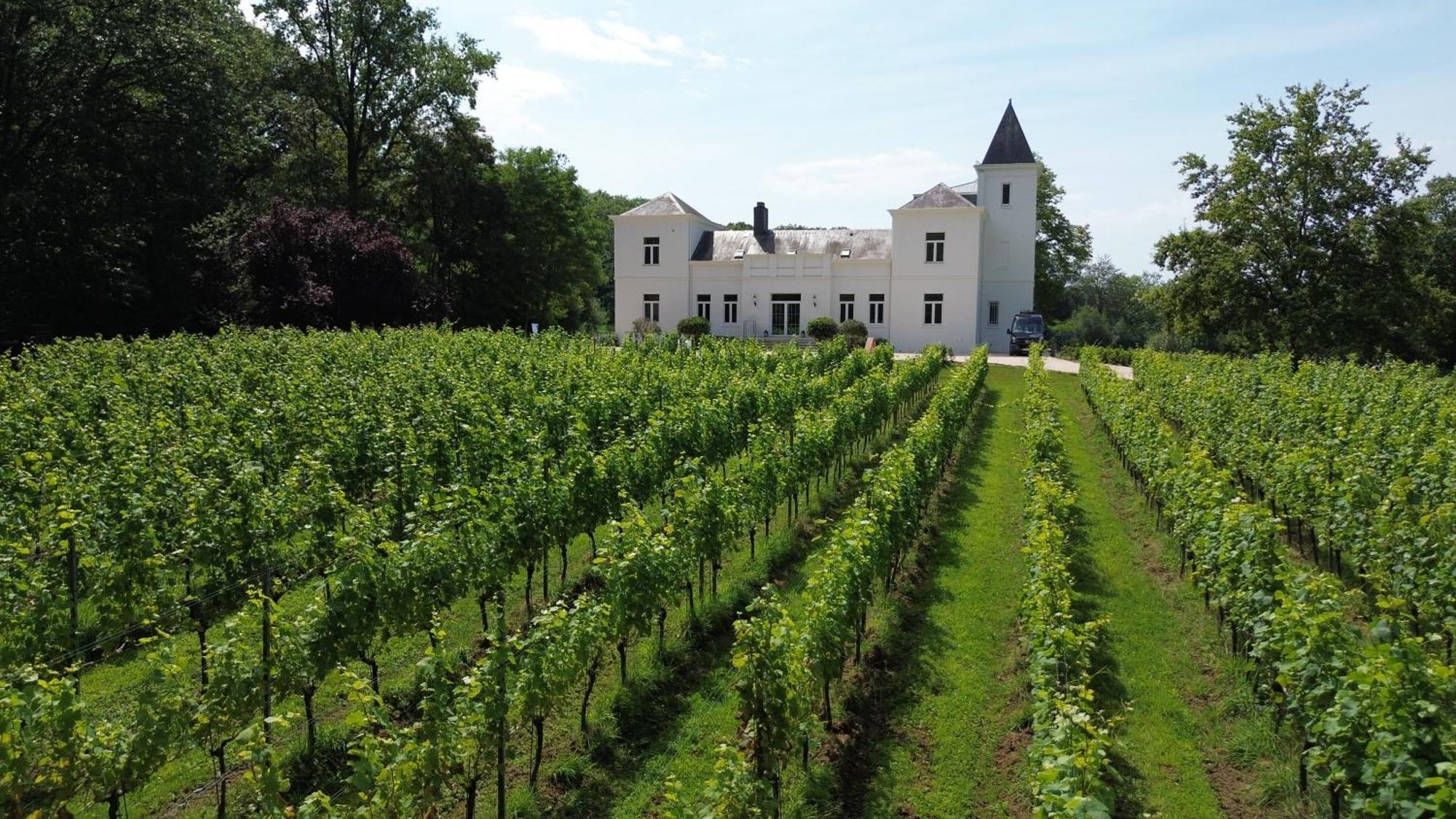 Wijnkasteel Haksberg Villa Tielt-Winge Exterior photo